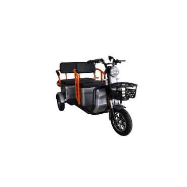 Zware Elektrische Landbouwdriewieler, Cargo Eco Drive, Motor 2100W, 72V, 20Ah, Bereik tot 42km