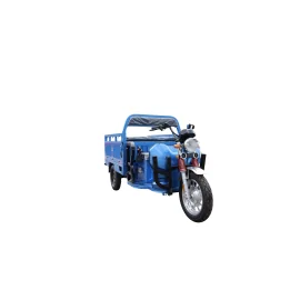 Heavy Duty Agricultural 3 Wheel Electric Vehicle, Cargo Eco Load, 3900W Motor, 80km range, 72V 80AH Battery