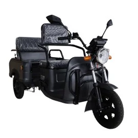 Heavy Duty 3 Wheel Electric Vehicle, Cargo Eco Drive Plus, 2300W Motor, 74km range, 72V 20AH Battery