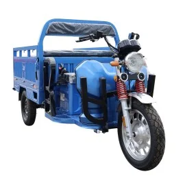 Zware Elektrische Landbouwdriewieler, Cargo Eco Load, Motor 3900W, 72V, 80Ah, Bereik tot 80km