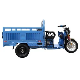 Heavy Duty Agricultural 3 Wheel Electric Vehicle, Cargo Eco Load, 3900W Motor, 80km range, 72V 80AH Battery