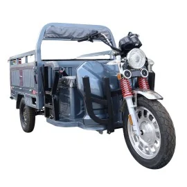 Zware Elektrische Landbouwdriewieler, Cargo Eco Load Speed, Motor 3900W, 42kmh, 72V, 80Ah, Bereik tot 55km