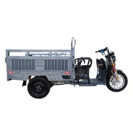 Zware Elektrische Landbouwdriewieler, Cargo Eco Load Speed, Motor 3900W, 42kmh, 72V, 80Ah, Bereik tot 55km