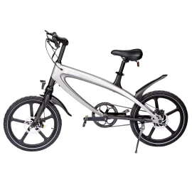 Smart Balance SB30 Urban Ride Electric Bicycle, Active Assisted Pedaling, 36V 250W Motor, 5.2AH Battery